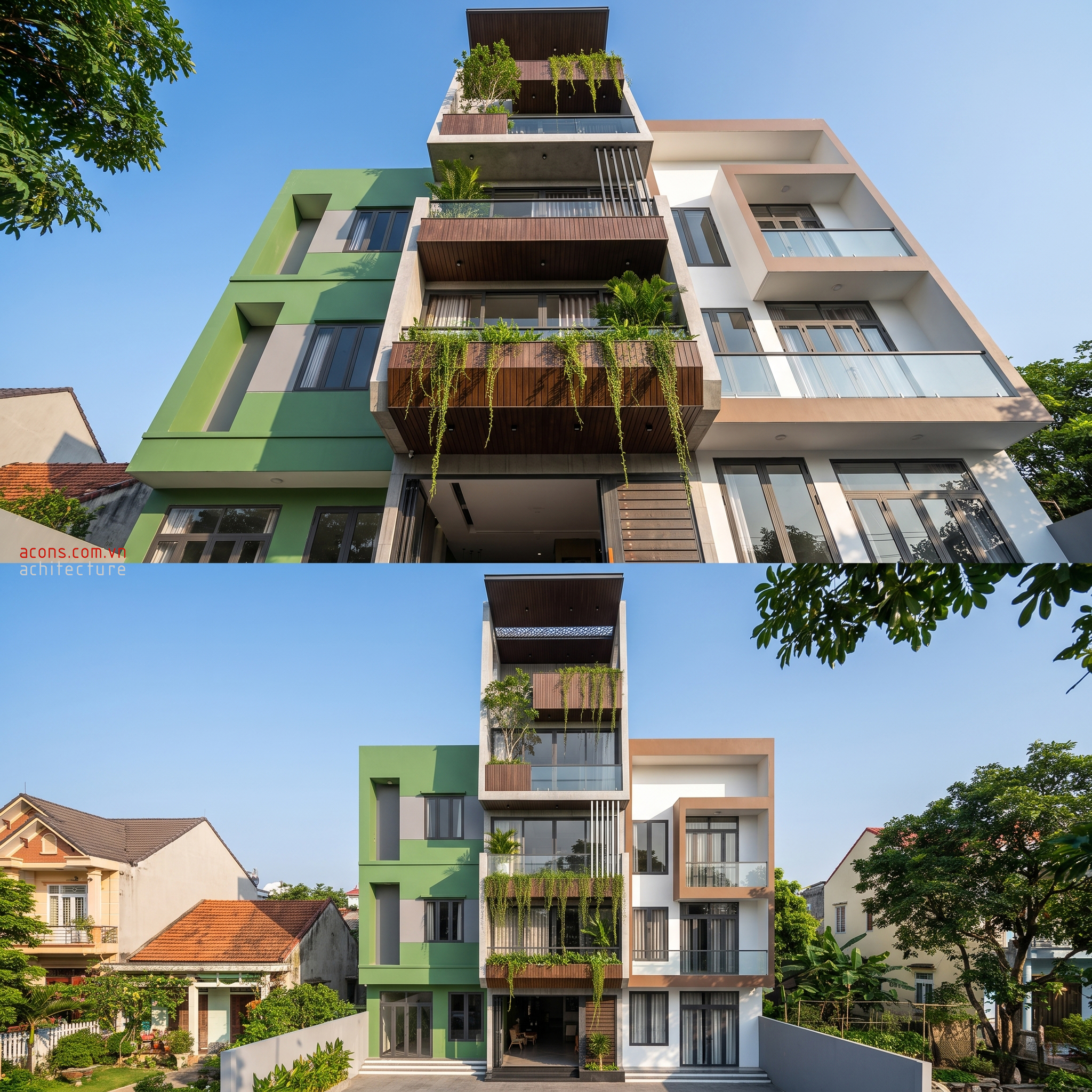 Dự án 12