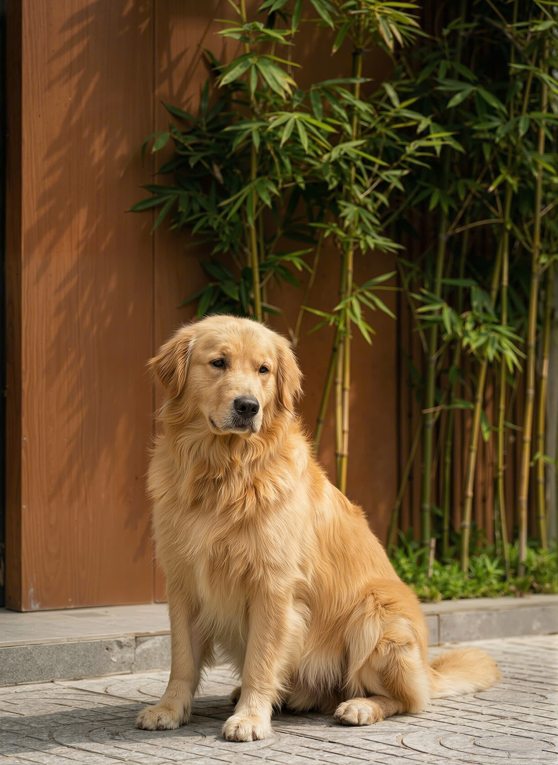 Hải House 5